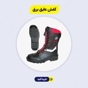 کفش عایق برق